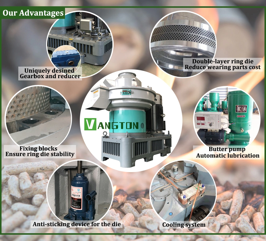 China Supplier/Manufacturers with Output 1000-1500-2000 Kg/H 1-1.5t 2-2.5-3-4ton Ring Die Straw Sawdust Rice Husk Biomass Pellet Machine for Making Wood Pellets