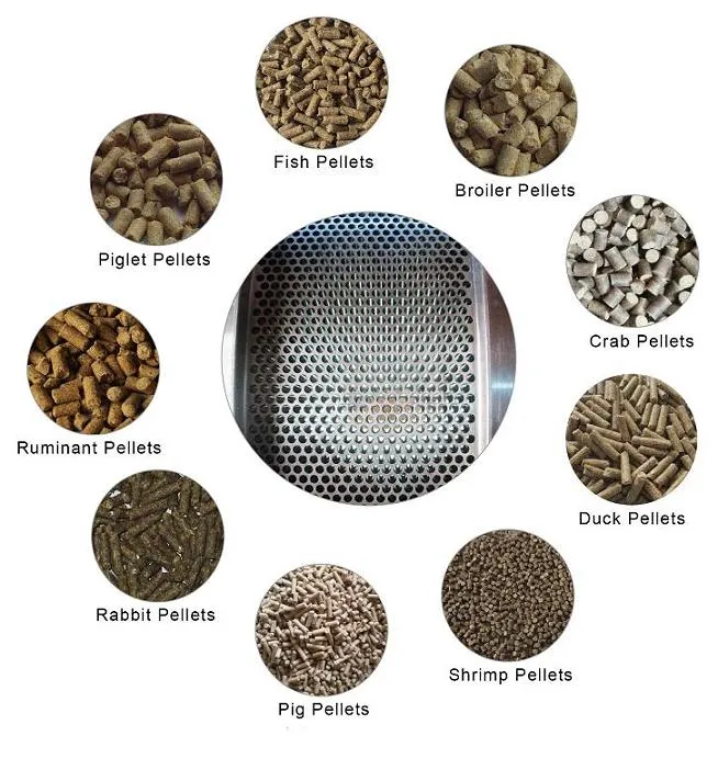 Good Price Pellet Machine Spare Part Flat Die for Feed Pellet Mill